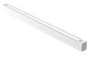 RENO Lighting/ARRAY SERIES/RENO-TLSN8-DV-MCCT-MW-WH(8FT)/R33203