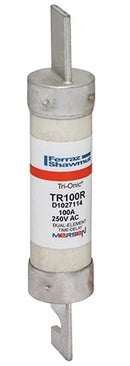 250V 100A 5 7/8x1 1/16 RK-TR100R