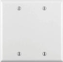 2-Gang No Device Blank Wallplate