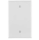 1-Gang No Device Blank Wallplate